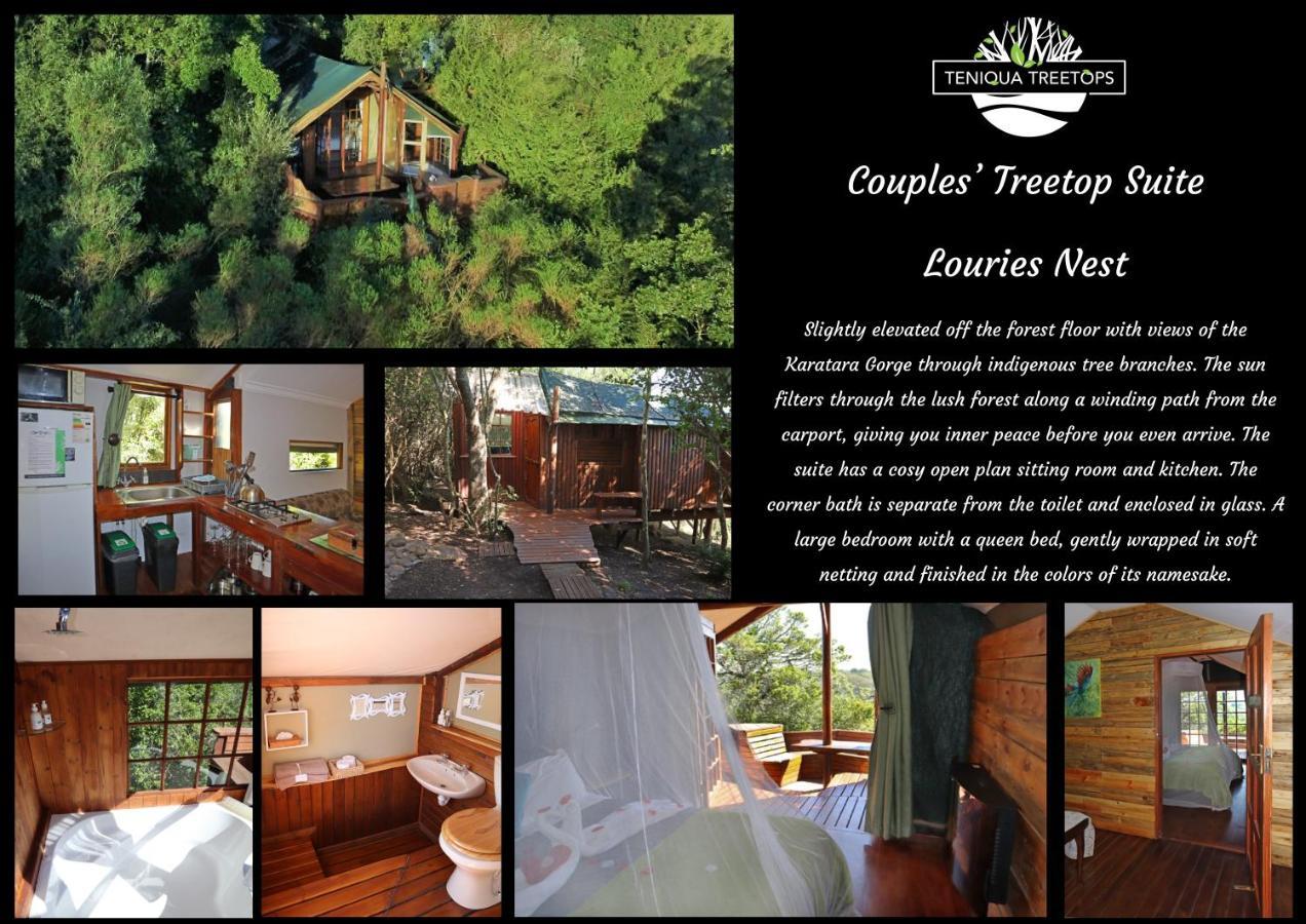 Teniqua Treetops Hotel Karatara Settlement Екстериор снимка