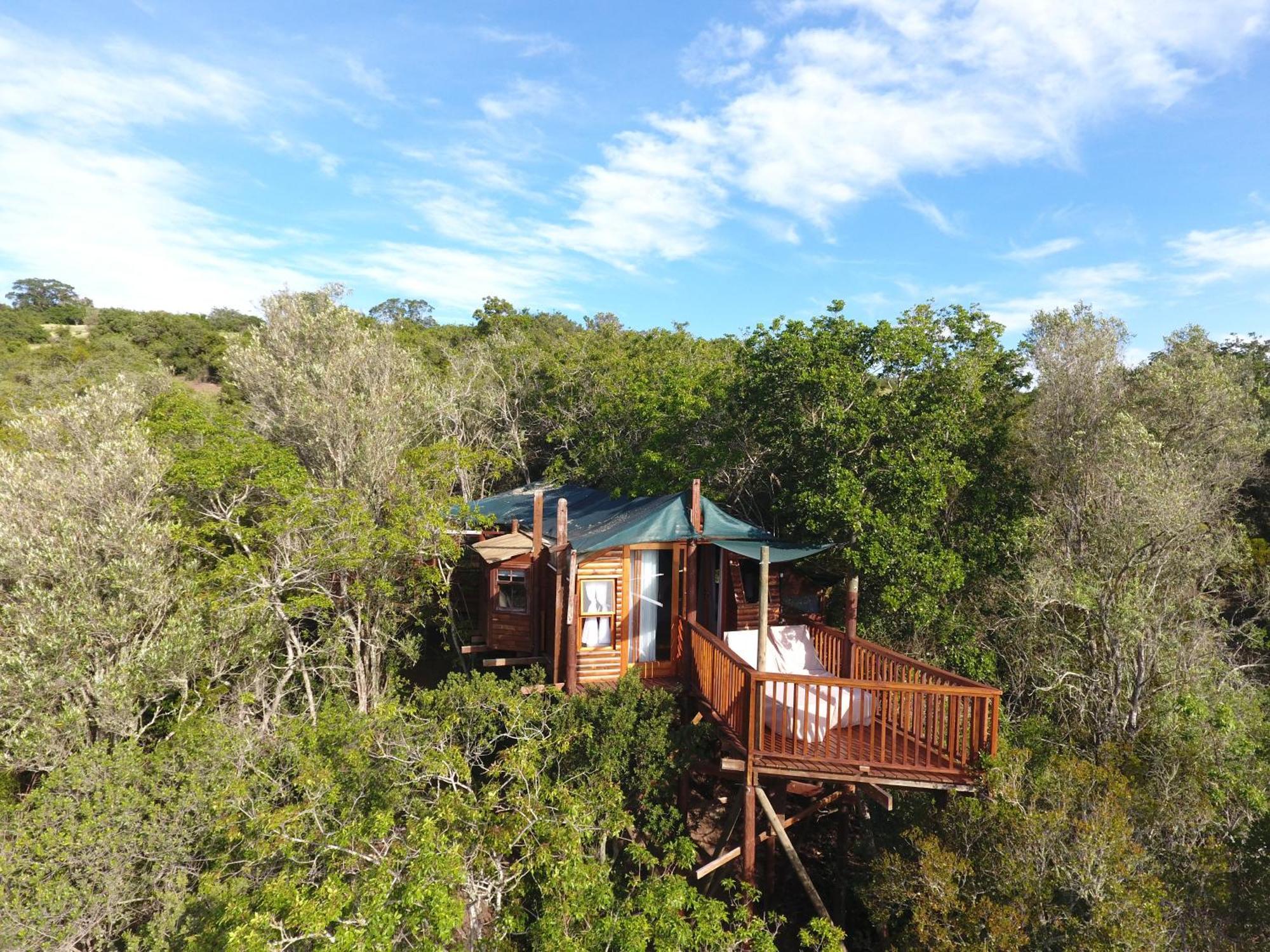 Teniqua Treetops Hotel Karatara Settlement Екстериор снимка