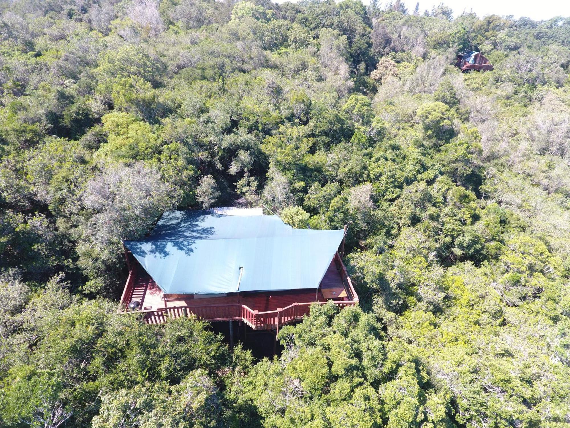 Teniqua Treetops Hotel Karatara Settlement Екстериор снимка