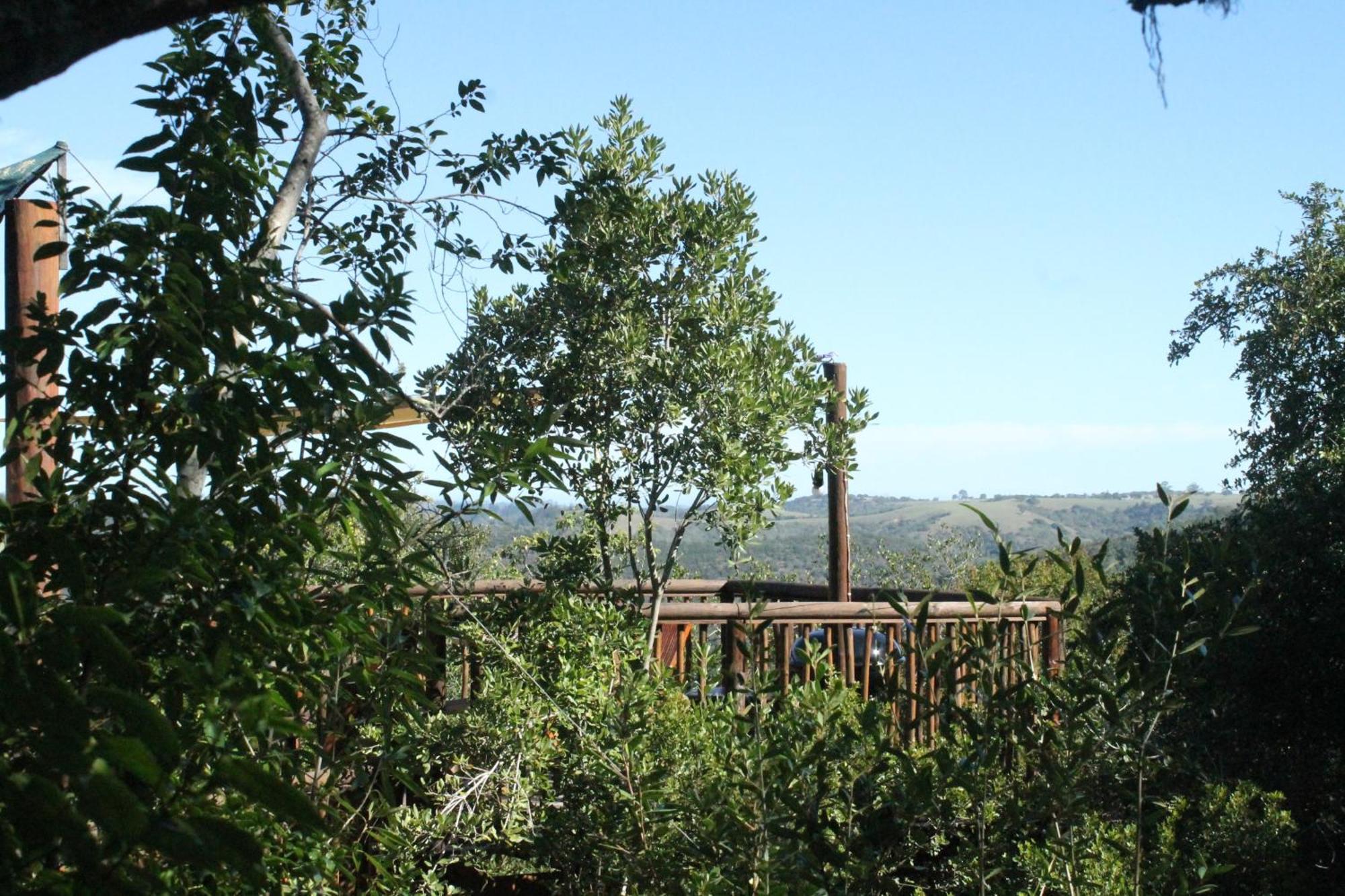 Teniqua Treetops Hotel Karatara Settlement Екстериор снимка