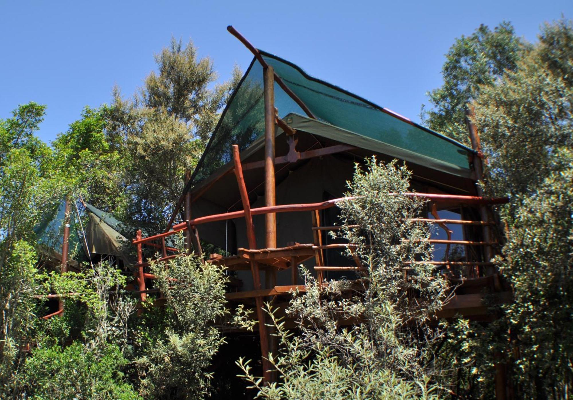 Teniqua Treetops Hotel Karatara Settlement Екстериор снимка