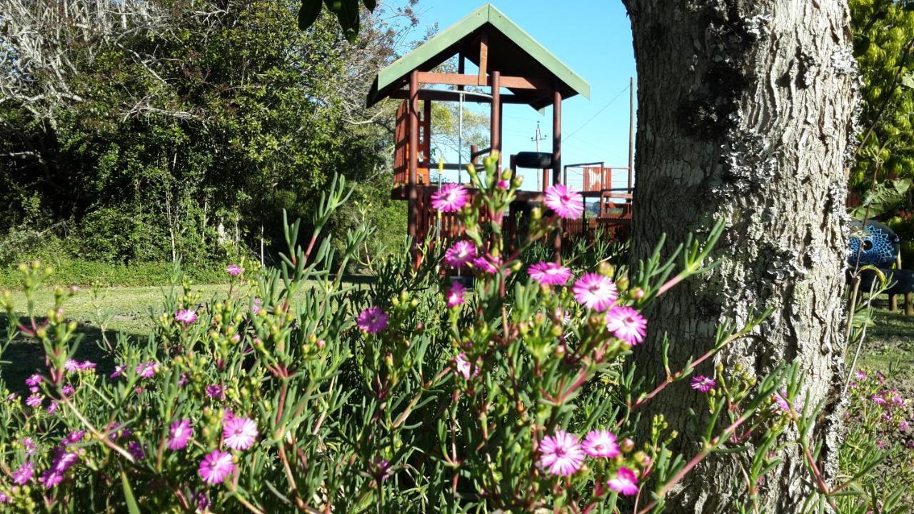 Teniqua Treetops Hotel Karatara Settlement Екстериор снимка