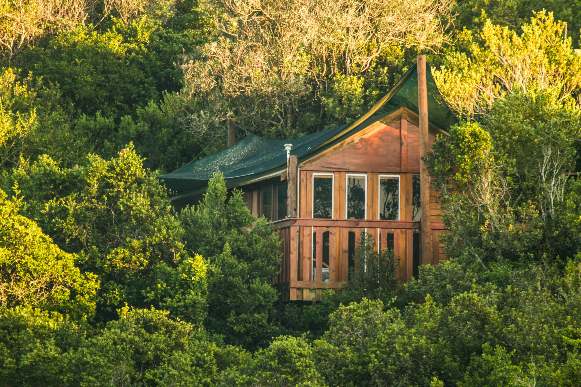 Teniqua Treetops Hotel Karatara Settlement Екстериор снимка