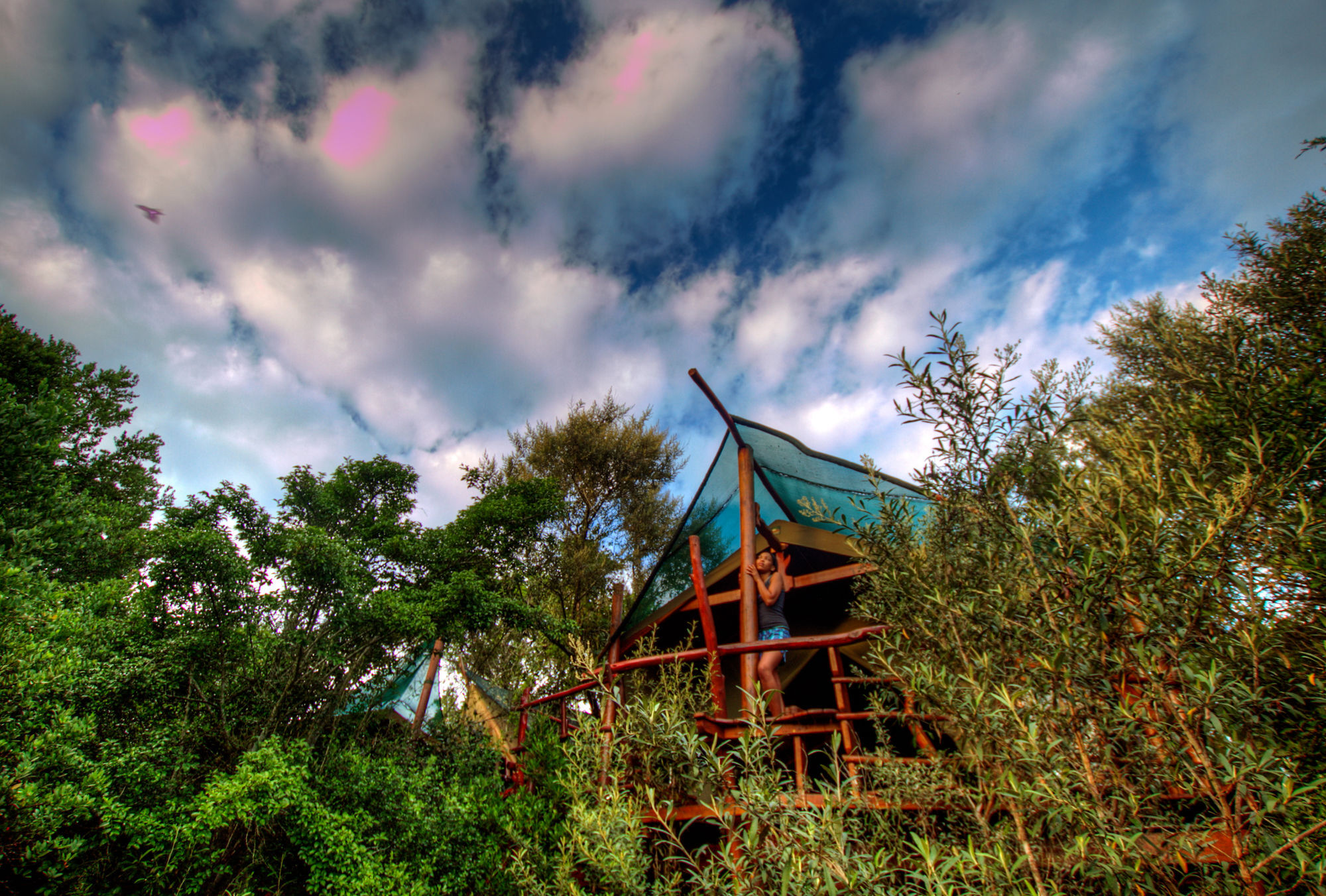 Teniqua Treetops Hotel Karatara Settlement Екстериор снимка